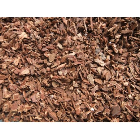 substrato para repteis jabuti