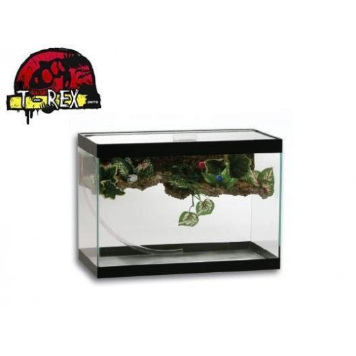 Aquaterrário com Filtro Interno