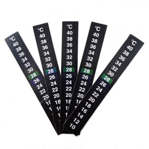 Termômetro Adesivo Répteis | Terrário