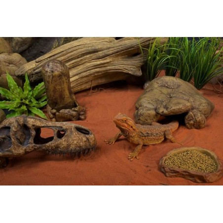 Reptile Desert Sand 1.6kg - Areia para Répteis