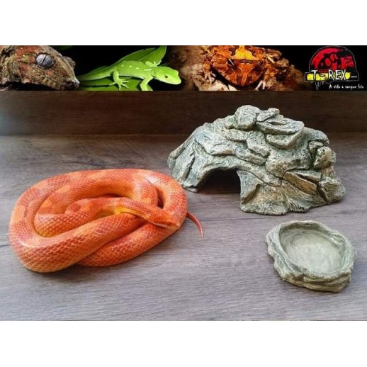 Toca Média para Répteis TM-01 Terrário | Pogona | Gecko