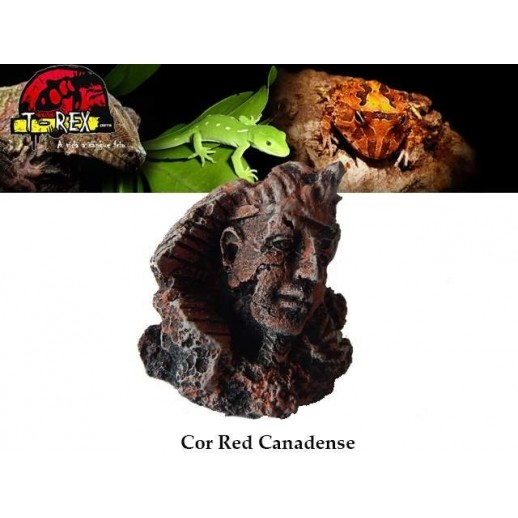 Esfinge Pequena Répteis | Terrário