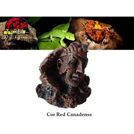 Esfinge Pequena Répteis | Terrário