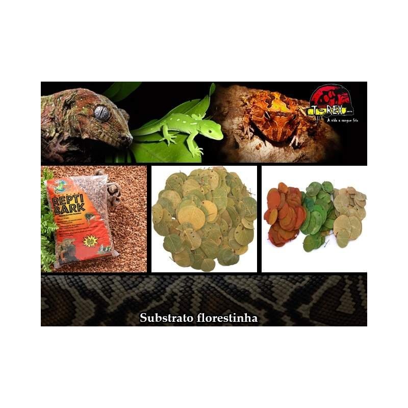 Kit Floresta - ReptiBark e Folhagens Répteis | Terrário