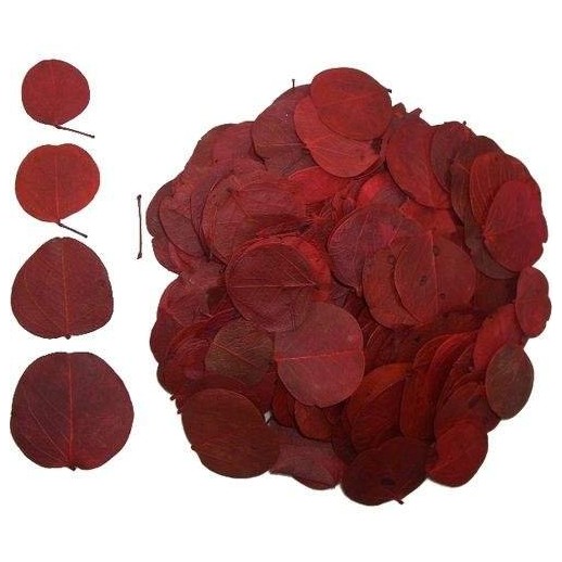 Kit Floresta - ReptiBark e Folhagens Répteis | Terrário