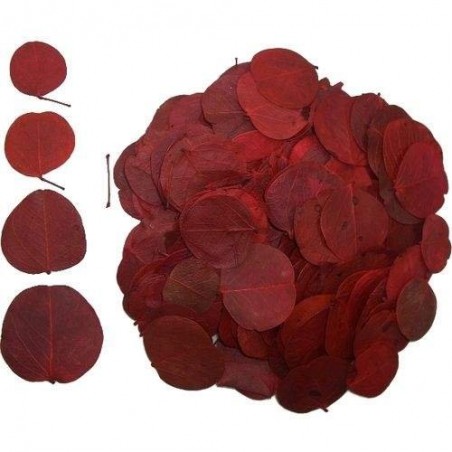 Kit Floresta - ReptiBark e Folhagens Répteis | Terrário