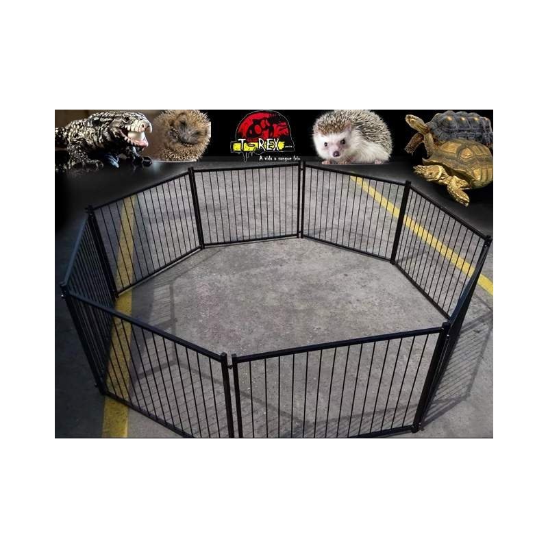 Terrário Répteis Terrestres