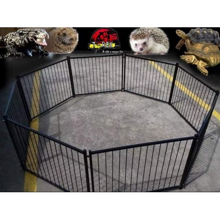 Terrário Répteis Terrestres