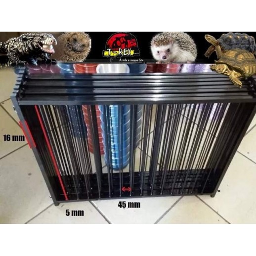 Terrário Répteis Terrestres