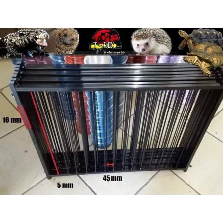 Terrário Répteis Terrestres