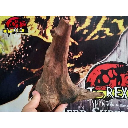 Tronco Natural 01