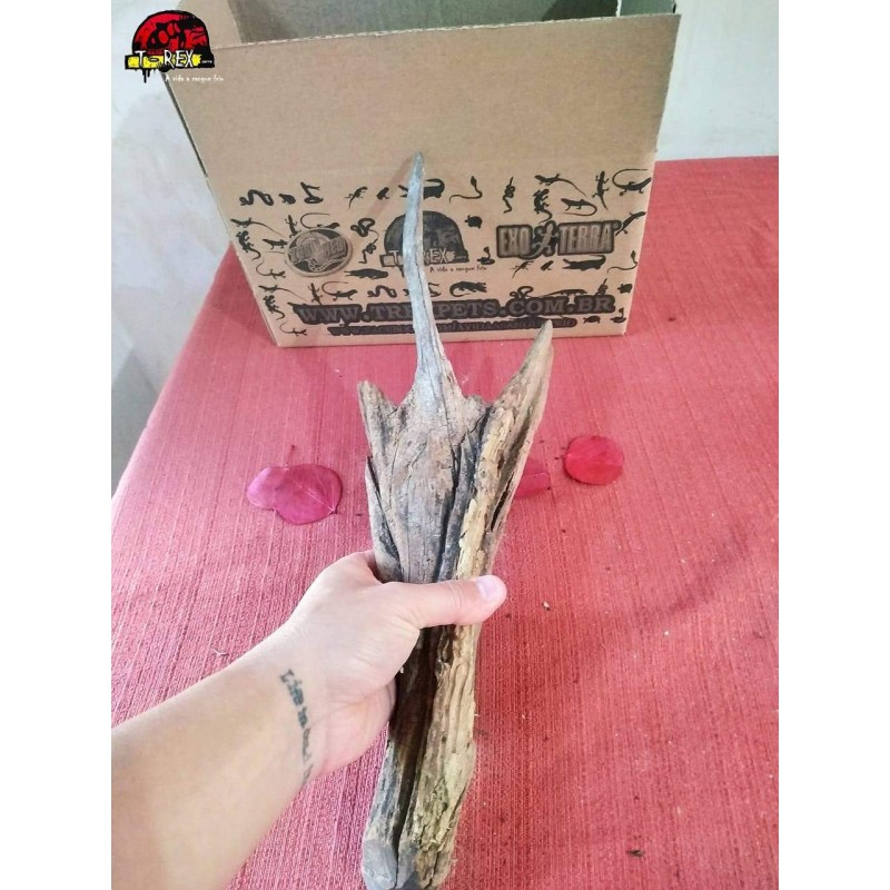 Tronco Natural 01