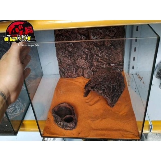 Terrário  |Leopard Gecko | Pogona Baby | Aranhas | Répteis 