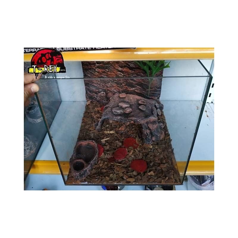 Terrário  |Leopard Gecko | Pogona Baby | Aranhas | Répteis 