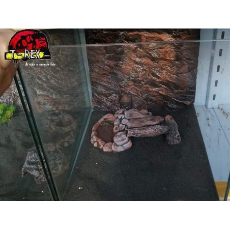 Terrário  |Leopard Gecko | Pogona Baby | Aranhas | Répteis 