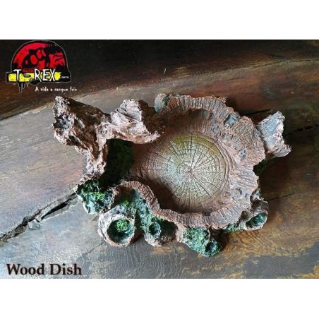 Wood Dish Répteis  | Iguana | Dragão | Gecko