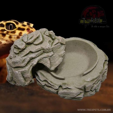 Comprar Toca Répteis