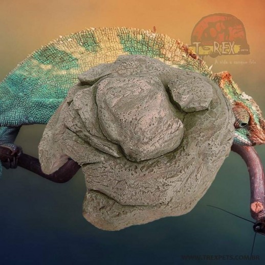 Toca para Gecko Leopard - Loja Répteis