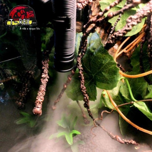 Nebulizador Umidificador para Iguana