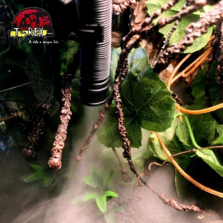 Nebulizador Umidificador para Iguana