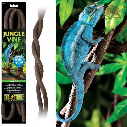 Tronco para Terrário