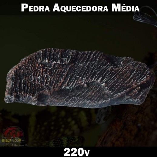 Pedra Aquecida Terrário