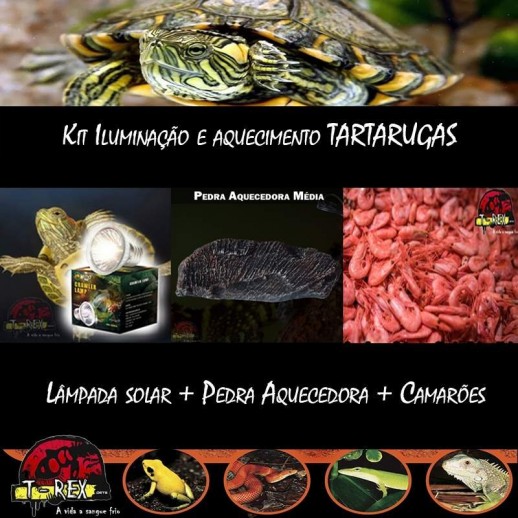 Lâmpada para Tartaruga Aquario