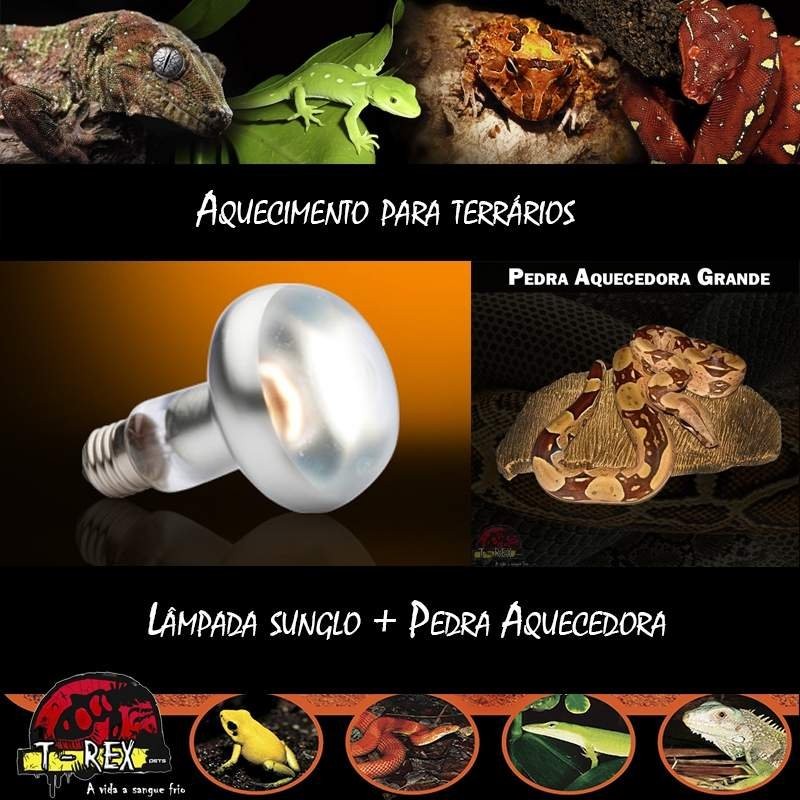 Lâmpada para Aquecer Terrário Répteis