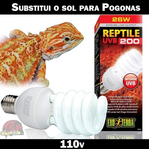 Lampada para uvb dragao barbado pogona