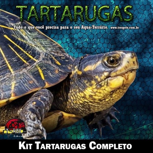 Comprar Lampada tartaruga