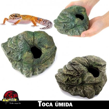 Toca ovos de repteis