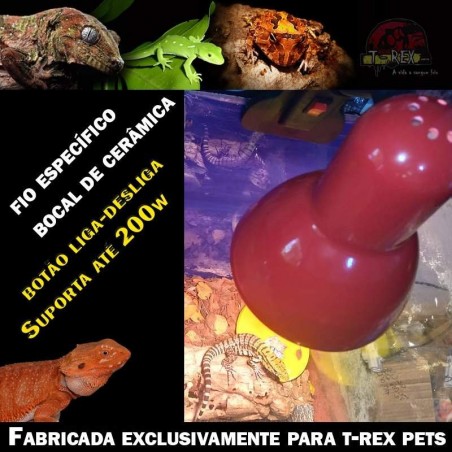 luminaria terrario