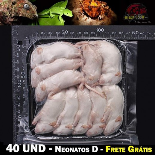 camundongo abatido congelado corn snake