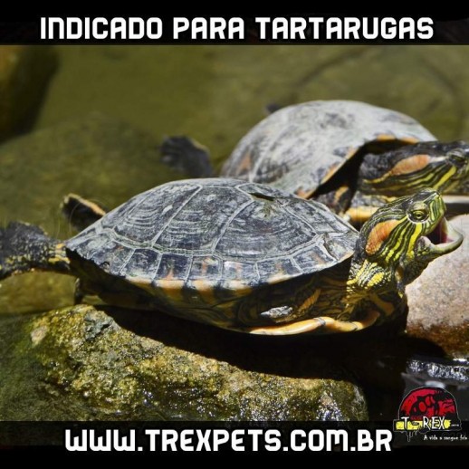 lampada uvb para tartaruga aquario