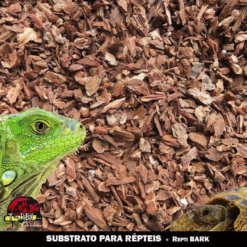 substrato para répteis