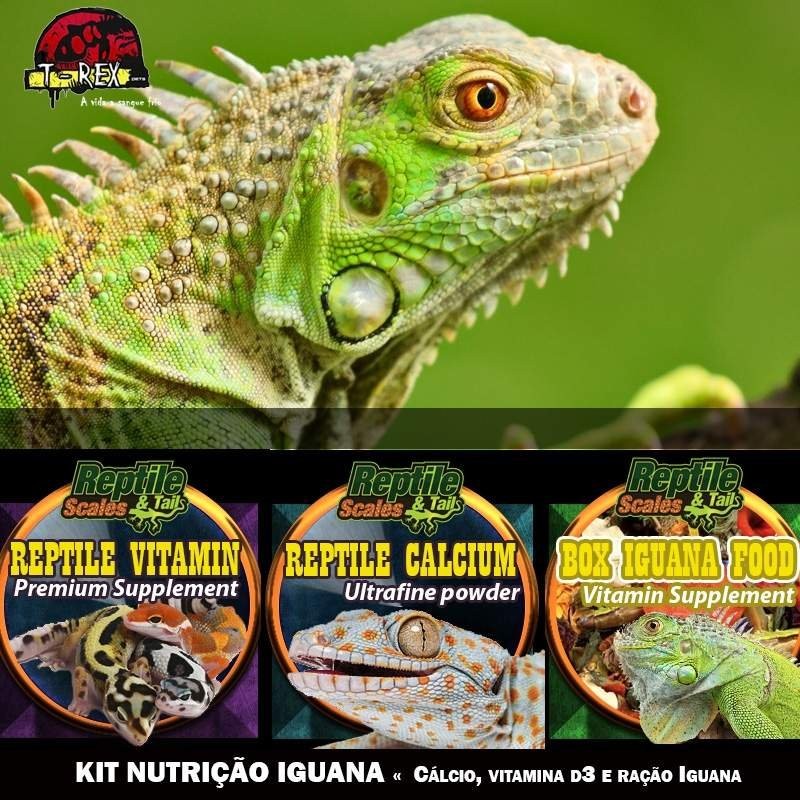 Cálcio Vitamina d3 e ração para iguana