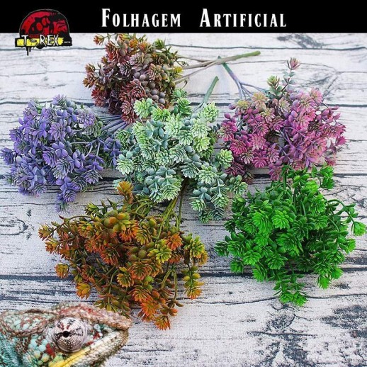 Folhagem para Terrário Iguana