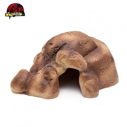 toca para répteis gecko