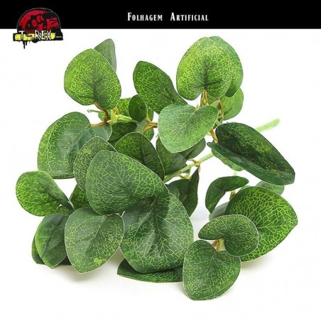 planta para terrário exoterra