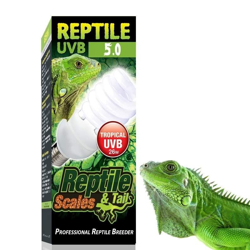 Lâmpada UVB para Iguanas