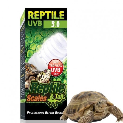 Lâmpada para Filhote de Jabuti