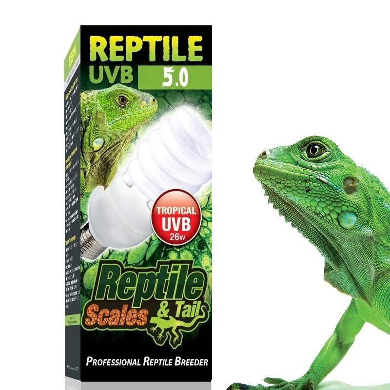 Lâmpada para Lagartos