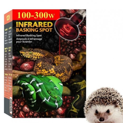 Aquecedor para Terrário de Porco Espinho