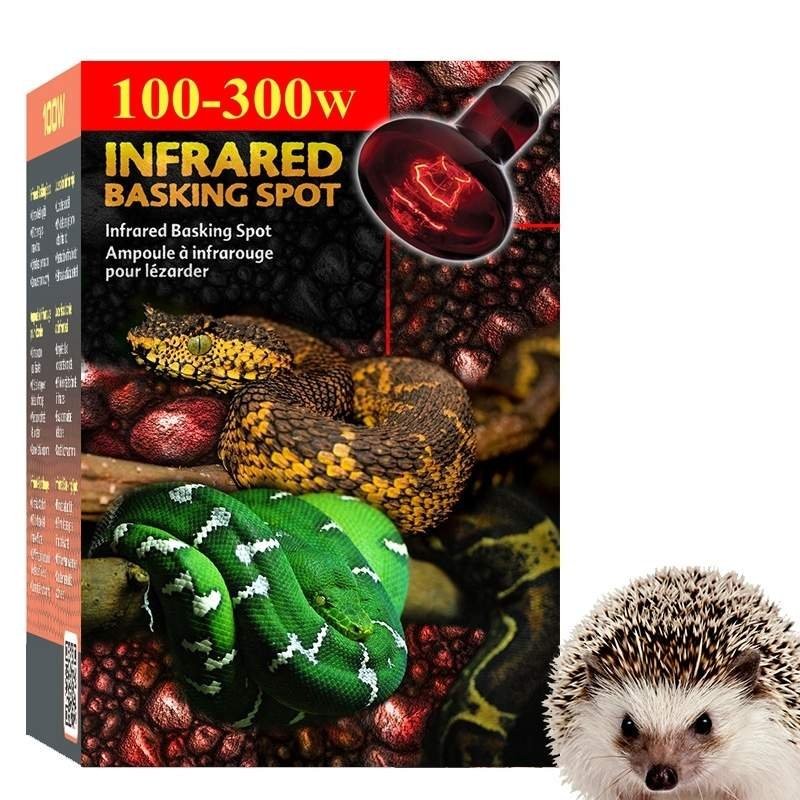 Aquecedor para Terrário de Porco Espinho