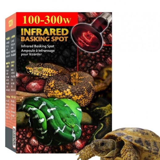 Lâmpada aquecedora para Jabuti