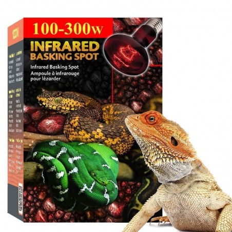 Lâmpada Aquecedora para Pogona