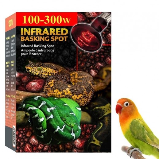 Lâmpada de Aquecimento para Aves