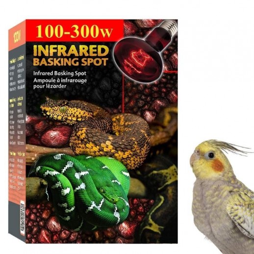 Aquecimento para Aves