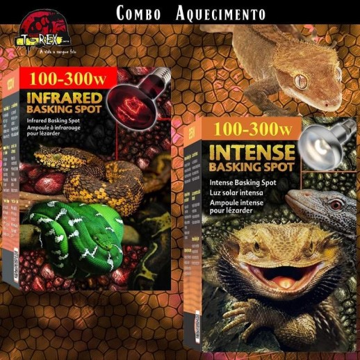 Lâmpadas para Aquecer Répteis