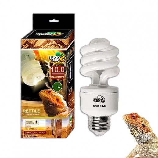 lâmpada para répteis